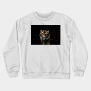 Here's Looking At You Crewneck Sweatshirt